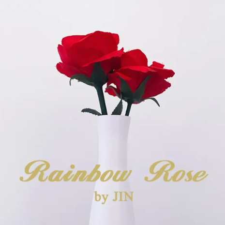 Rainbow Rose by JIN